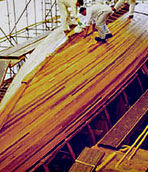 Speed Strip™ Planking for Wooden Boat Hull Construction ...