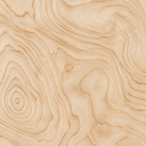 Maple — Curly veneer