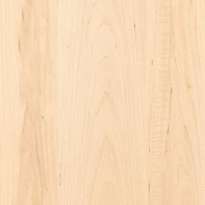 Maple — Flat Cut veneer