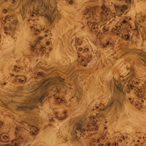 Myrtle — Burl veneer
