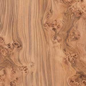 Olive Ash veneer