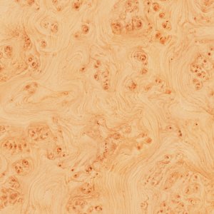 White Ash — Burl veneer